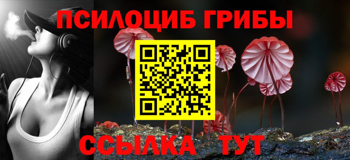 Апатиты  Псилоцибиновые грибы Psilocybe  Вход с VPN  Псилоцибиновые грибы GOLDEN TEACHER 