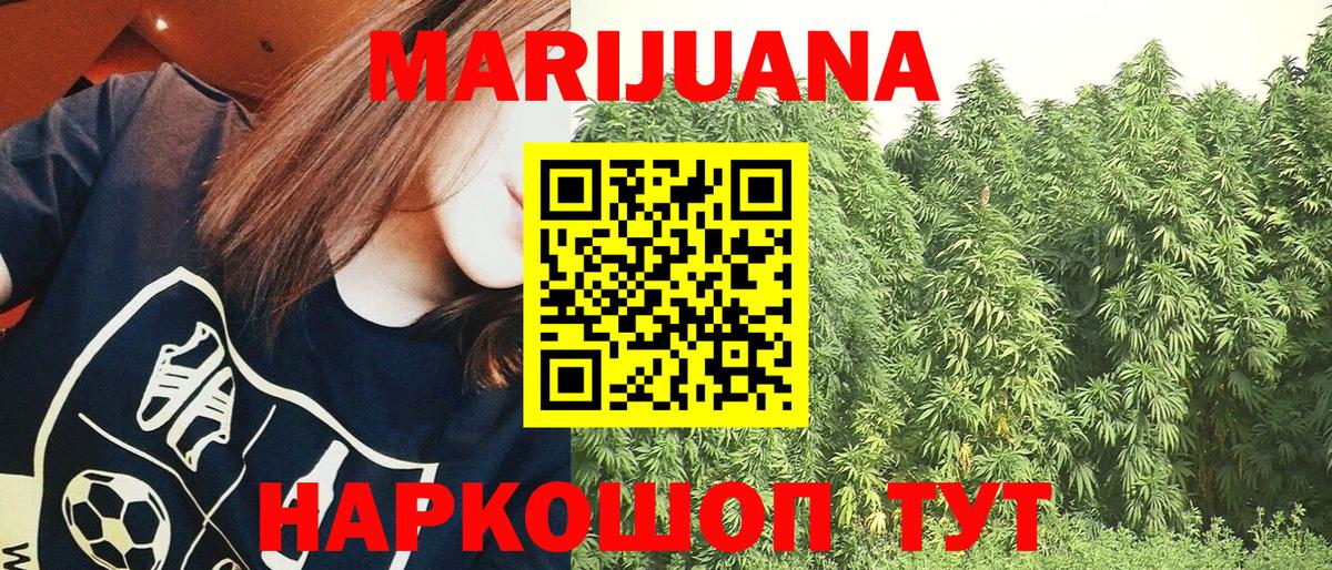 Бошки марихуана тримм  Вход с VPN  Шишки марихуана Amnesia  Апатиты  Бошки Шишки Bruce Banner 